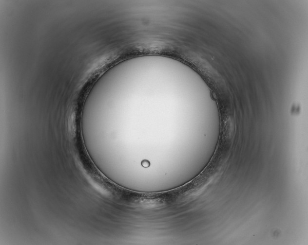 X0000102040638200808011511