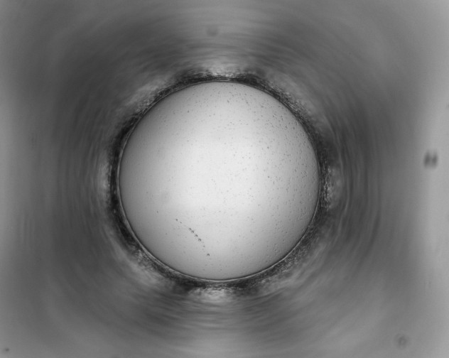 X0000102040639200808011511