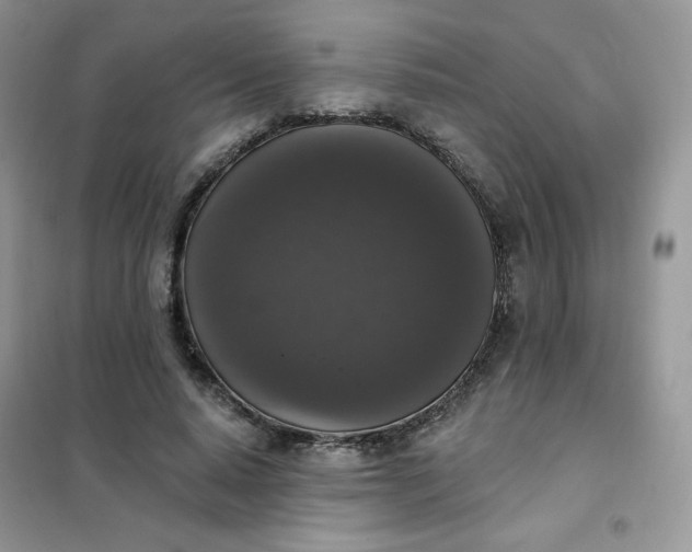 X0000102040640200808011511