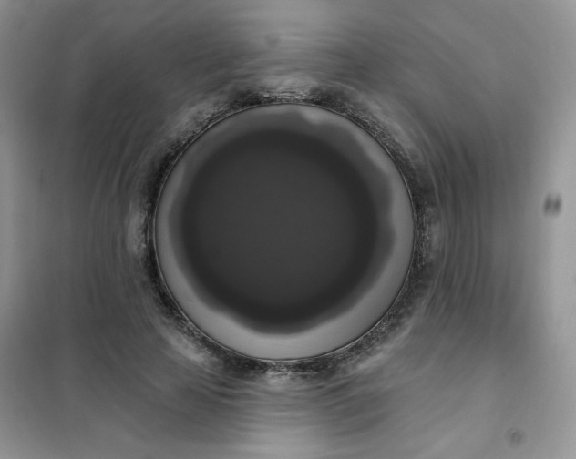 X0000102040641200808011511