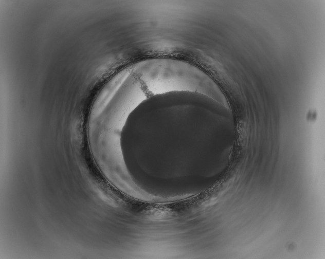 X0000102040642200808011511