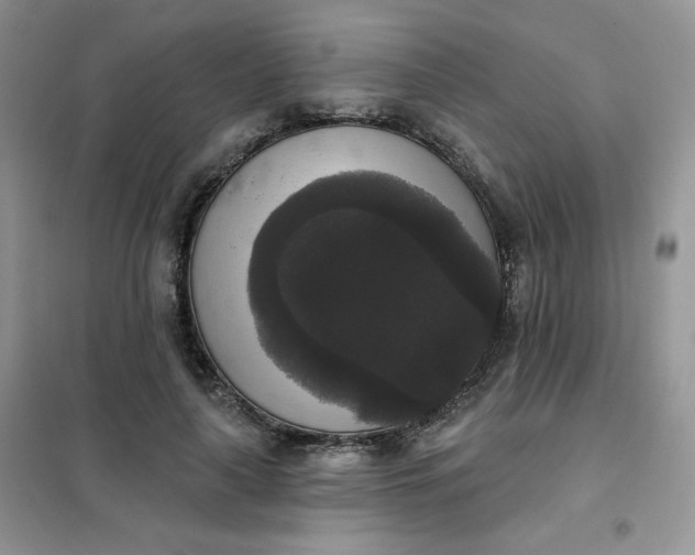 X0000102040643200808011511