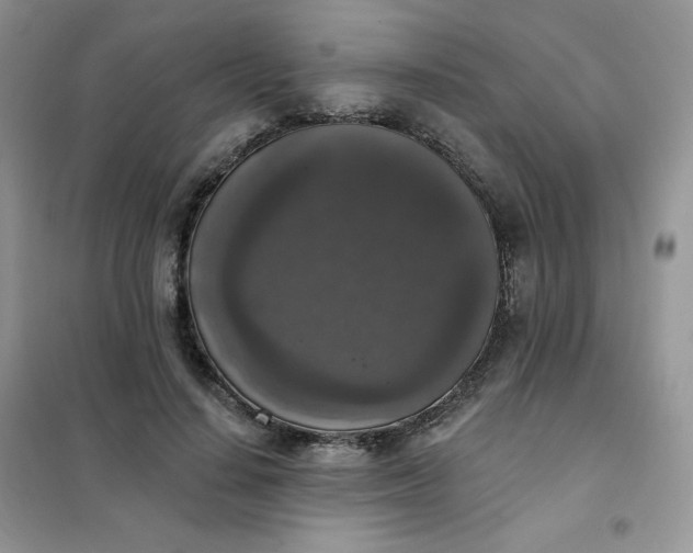 X0000102040644200808011511