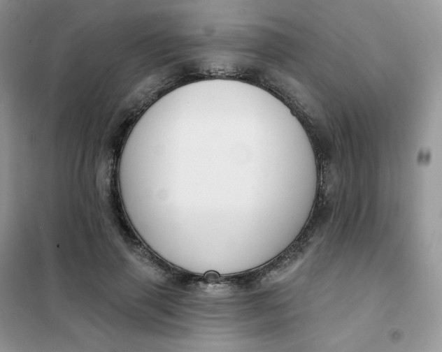 X0000102040645200808011511