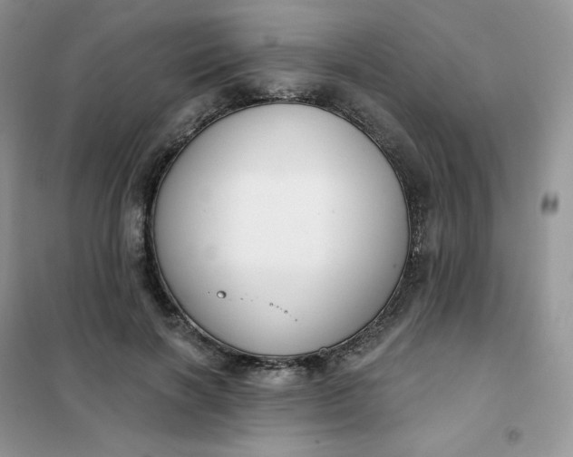 X0000102040646200808011511