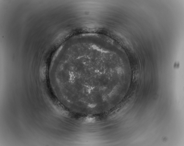 X0000102040647200808011511