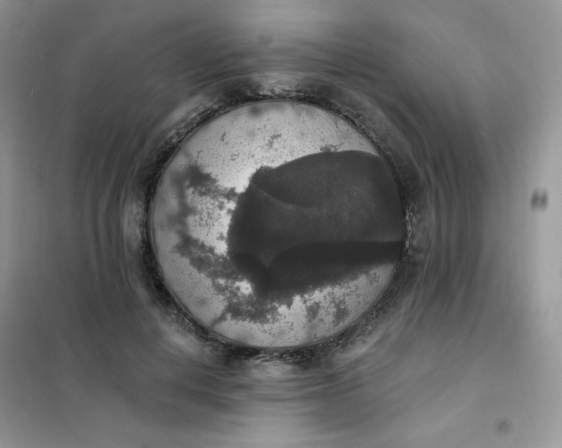 X0000102040648200808011511