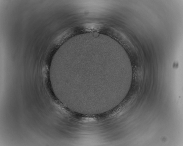 X0000102040649200808011511