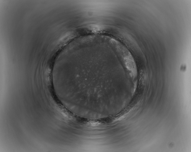 X0000102040650200808011511