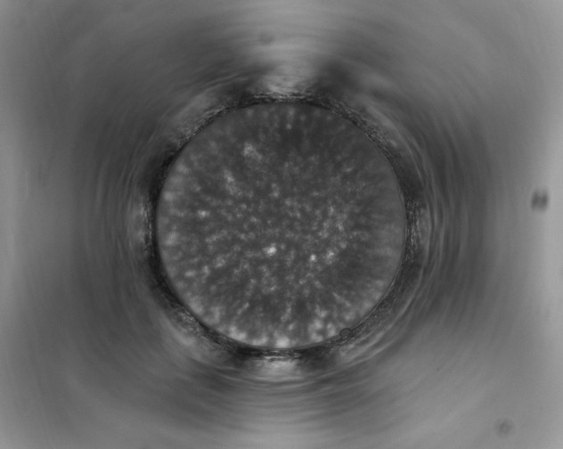 X0000102040651200808011511