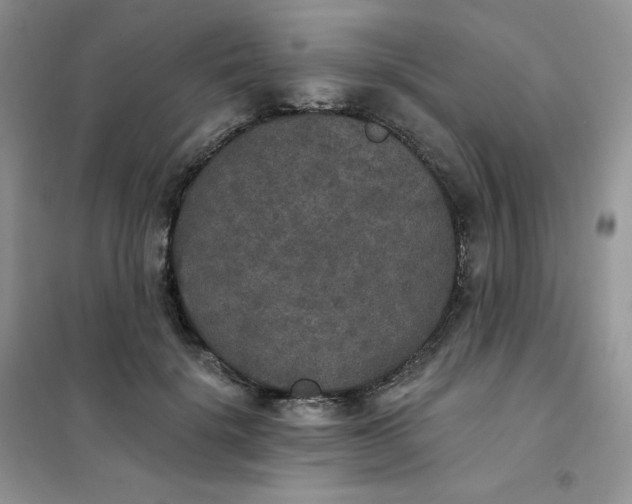 X0000102040652200808011511