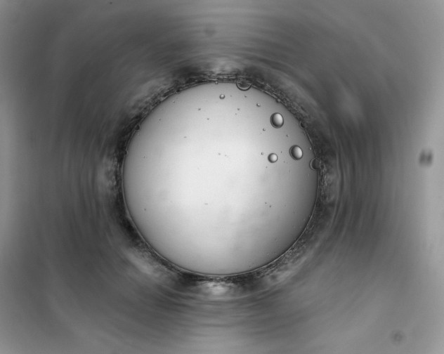 X0000102040654200808011511