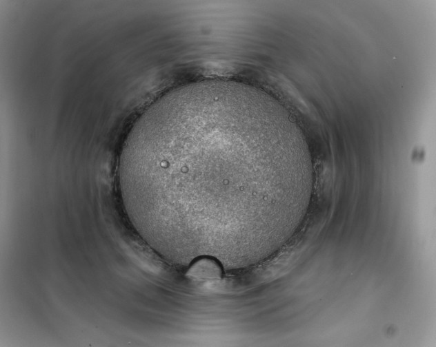 X0000102040655200808011511