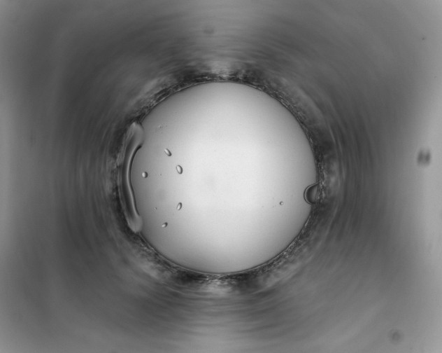 X0000102040656200808011511