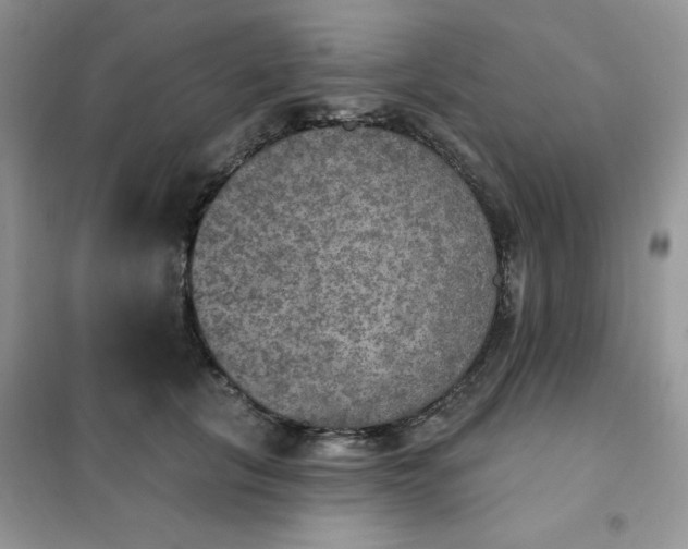 X0000102040657200808011511