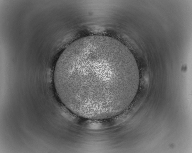 X0000102040658200808011511