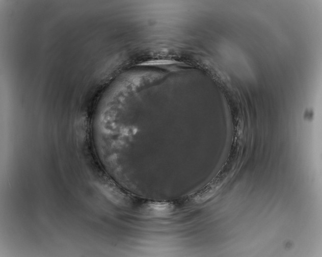 X0000102040659200808011511