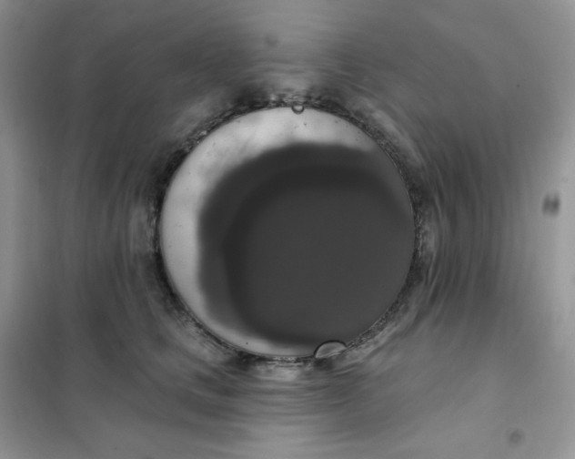 X0000102040661200808011511