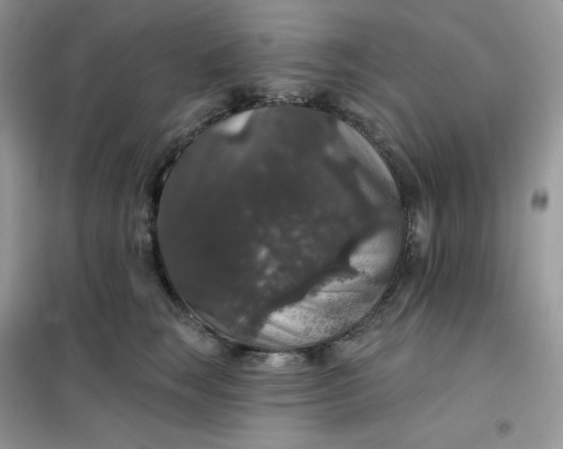 X0000102040663200808011511