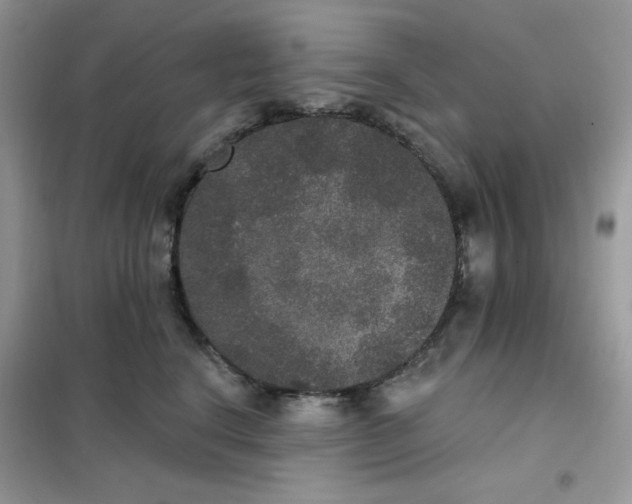 X0000102040664200808011511