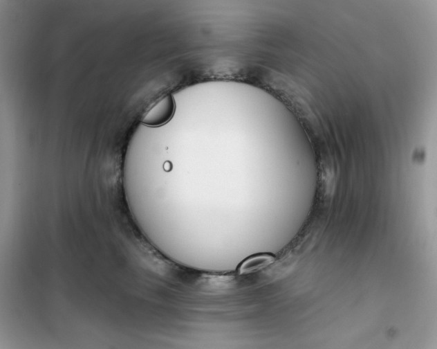 X0000102040665200808011511