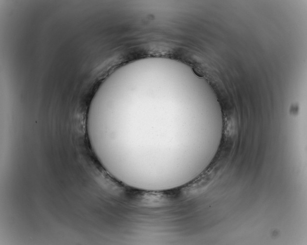 X0000102040666200808011511