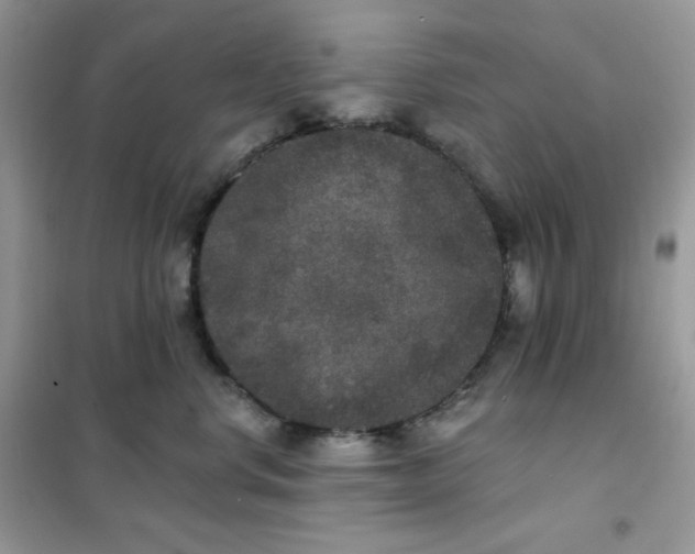 X0000102040668200808011511