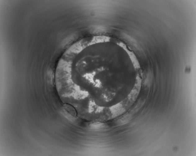 X0000102040669200808011511