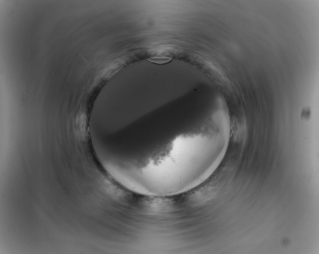 X0000102040670200808011511