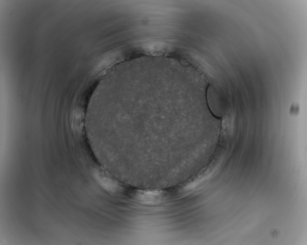 X0000102040671200808011511