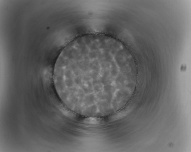 X0000102040672200808011511