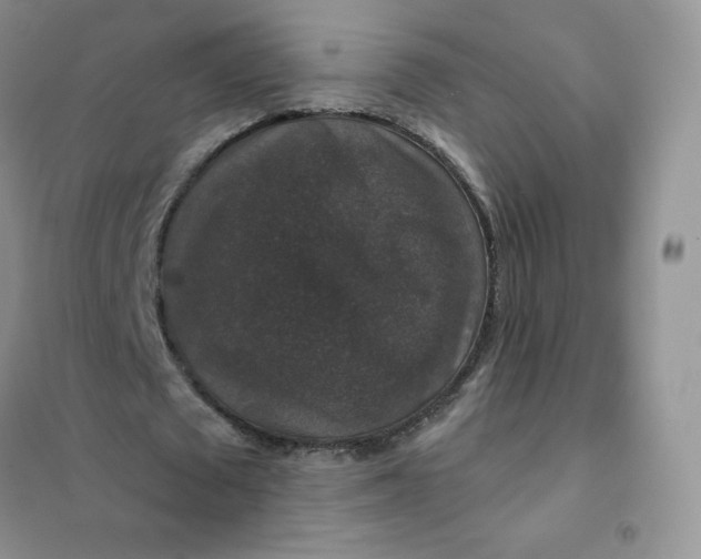 X0000102040673200808011511