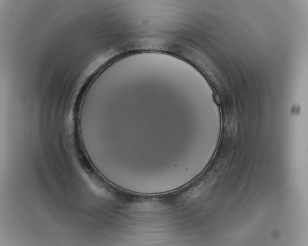 X0000102040674200808011511