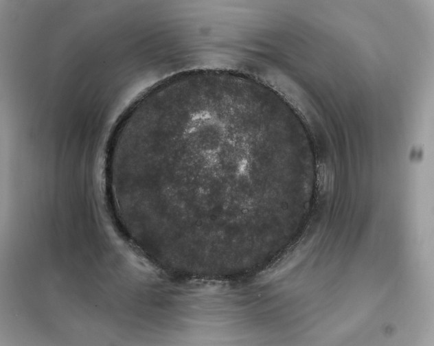 X0000102040676200808011511