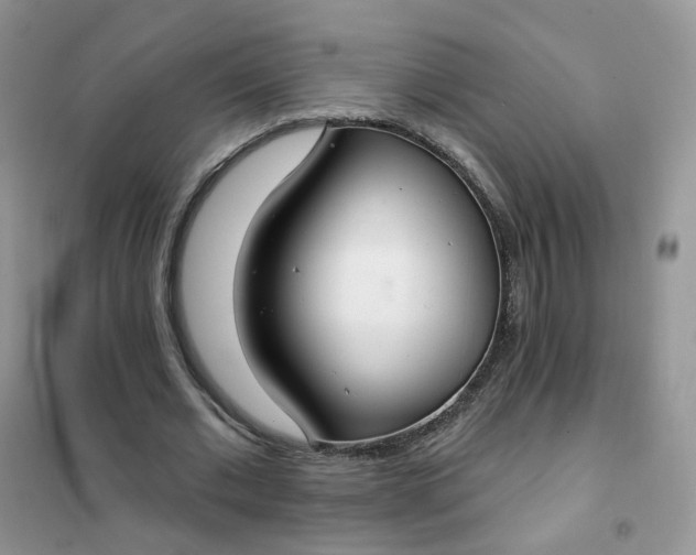 X0000102040677200808011511