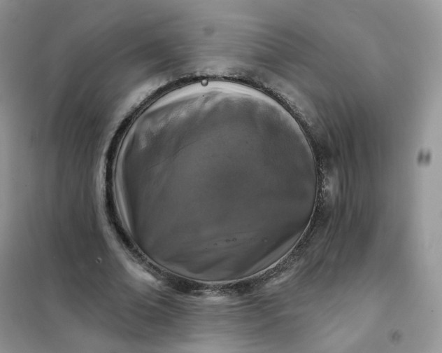 X0000102040678200808011511