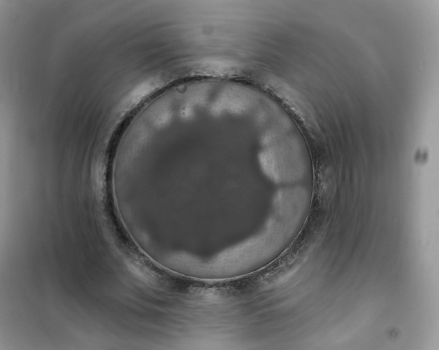 X0000102040679200808011511