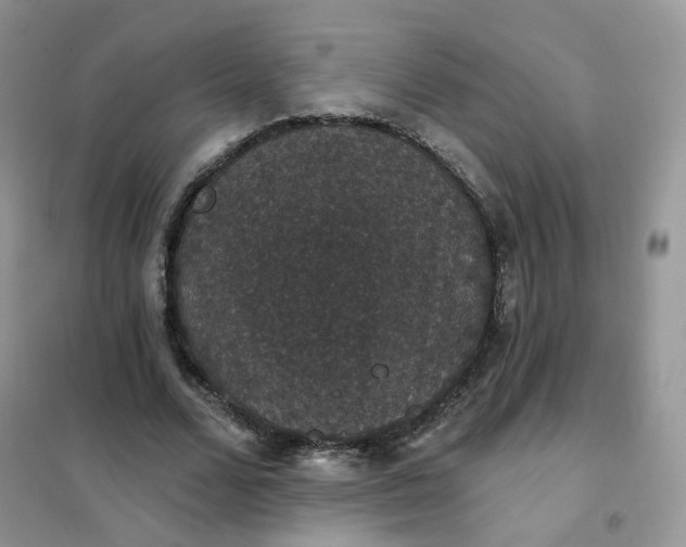 X0000102040680200808011511