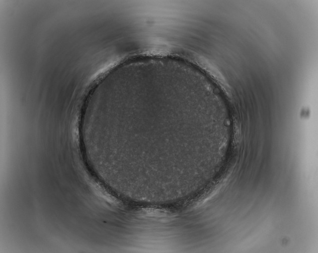 X0000102040681200808011511