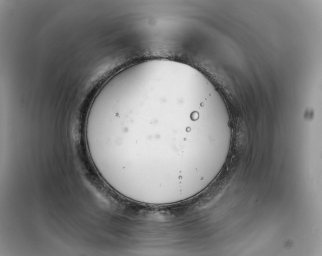 X0000102040683200808011511