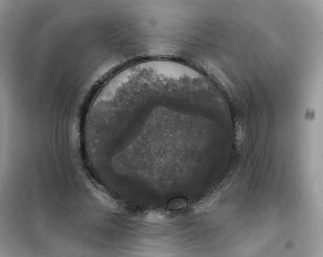 X0000102040684200808011511