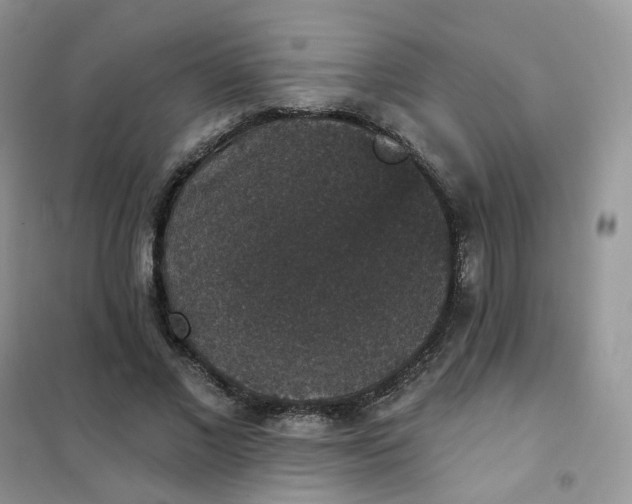 X0000102040685200808011511