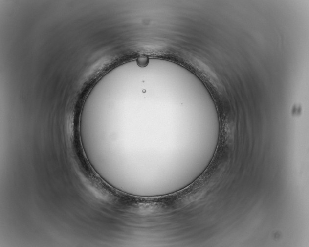 X0000102040686200808011511