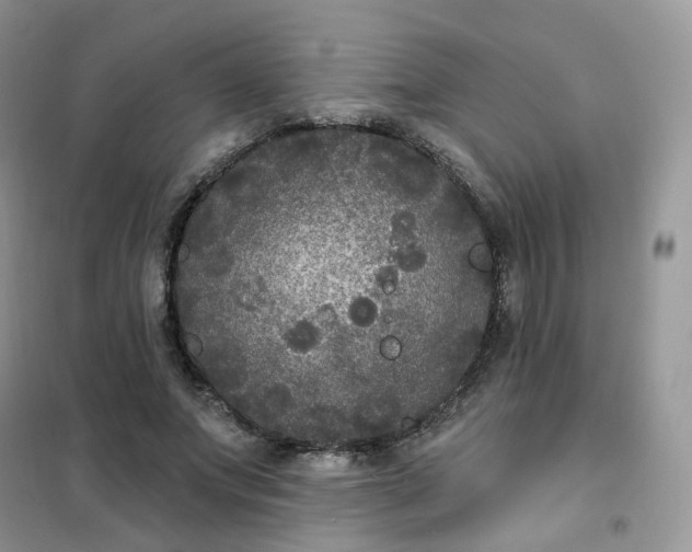 X0000102040687200808011511