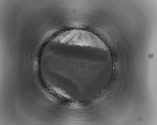 X0000102040688200808011511