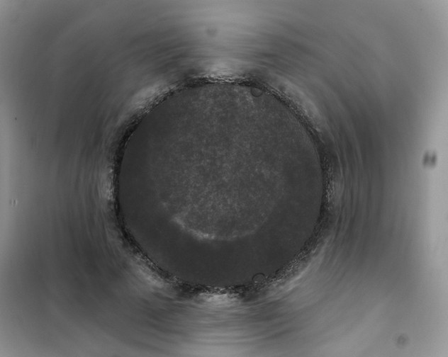 X0000102040689200808011511