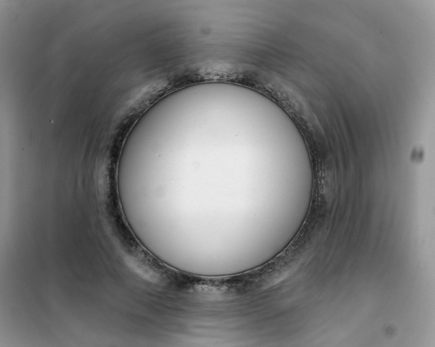 X0000102040690200808011511