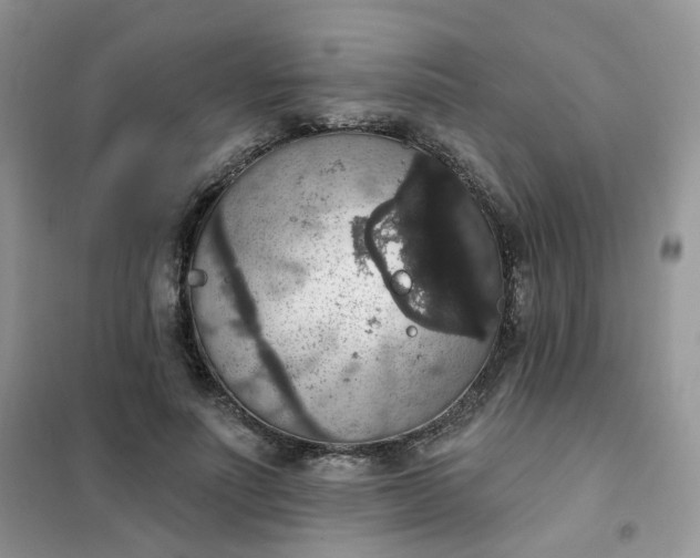 X0000102040691200808011511