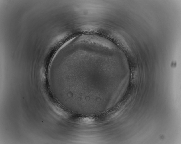 X0000102040692200808011511