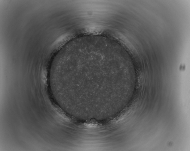 X0000102040693200808011511